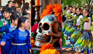 Cultural Celebrations header image