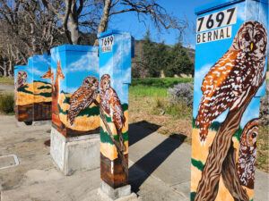 California Spotted Owl & Red Fox: Twilight Watchers artwork photo