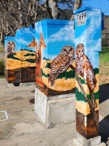 California Spotted Owl & Red Fox: Twilight Watchers artwork photo