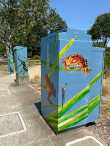 California Tiger Salamander & Red Legged Frog - Utility Box photo