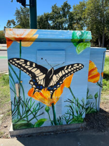 Callippe Silverspot & Anise Swallowtail on Poppies - Utility Box photo
