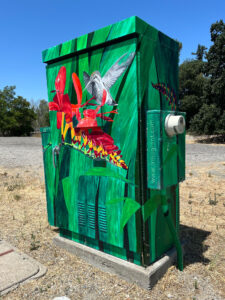 Hummingbirds - Utility Box photo