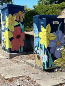 Stop and Smell the Flowers artwork photo