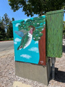 The Nature of Pleasanton artwork photo